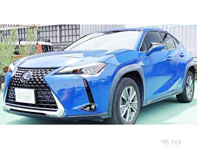2021 Lexus Other