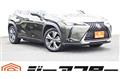 2021 Lexus Other