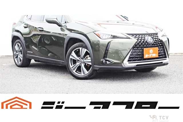 2021 Lexus Other
