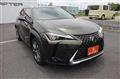 2021 Lexus Other