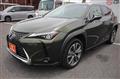 2021 Lexus Other