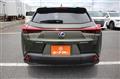 2021 Lexus Other