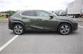 2021 Lexus Other