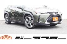 2021 Lexus Other