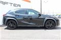 2021 Lexus Other