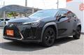 2021 Lexus Other
