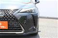 2021 Lexus Other