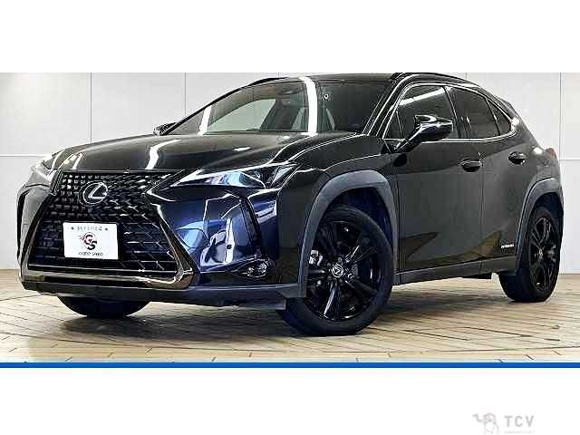 2021 Lexus Other