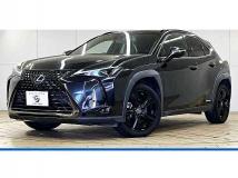 2021 Lexus Other