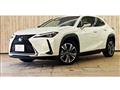 2021 Lexus Other