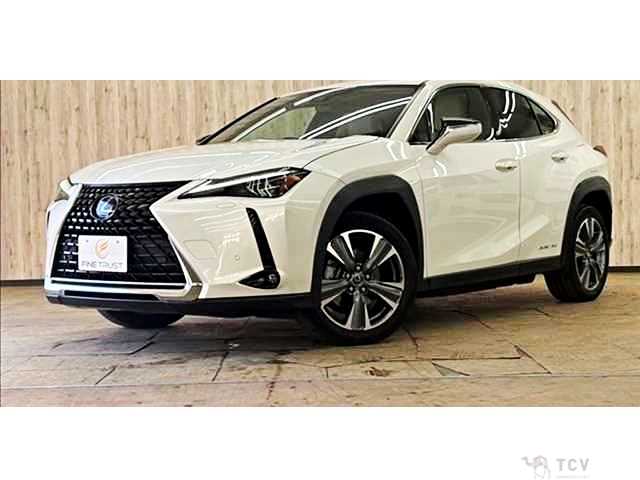2021 Lexus Other