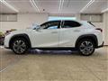 2021 Lexus Other
