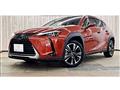 2021 Lexus Other
