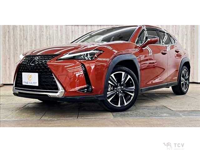 2021 Lexus Other