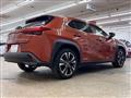 2021 Lexus Other