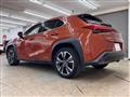 2021 Lexus Other