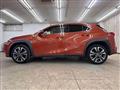 2021 Lexus Other