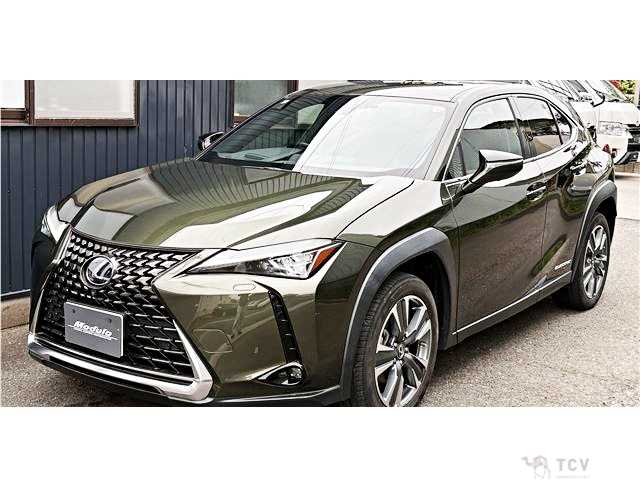2021 Lexus Other