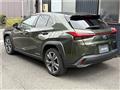 2021 Lexus Other