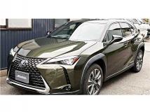 2021 Lexus Other