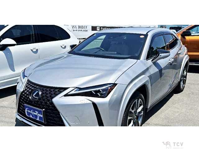 2021 Lexus Other