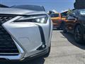2021 Lexus Other