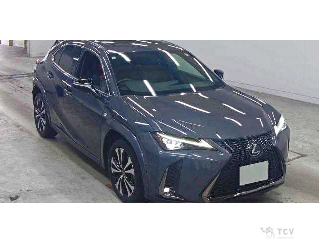 2021 Lexus Other