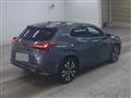 2021 Lexus Other