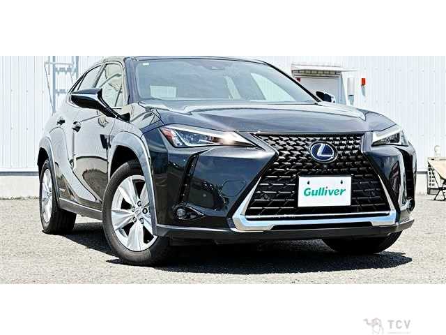 2021 Lexus Other