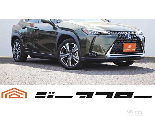 2021 Lexus Other