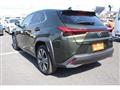 2021 Lexus Other