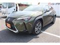 2021 Lexus Other