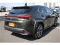 2021 Lexus Other