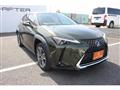 2021 Lexus Other