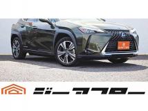 2021 Lexus Other