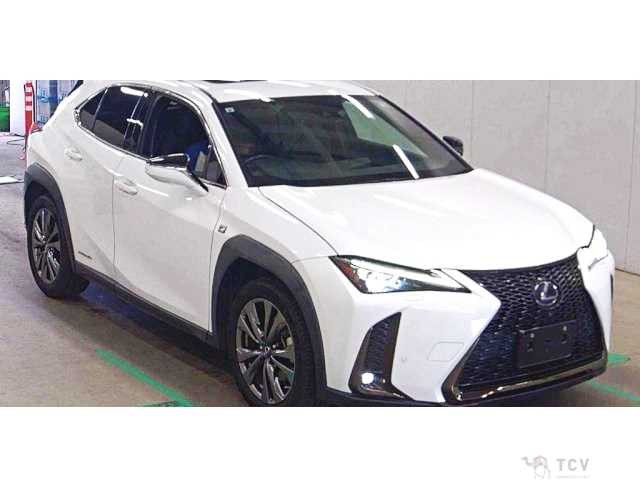 2021 Lexus Other
