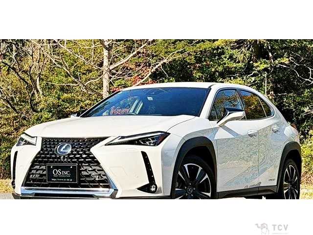 2021 Lexus Other
