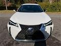 2021 Lexus Other