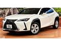 2021 Lexus Other