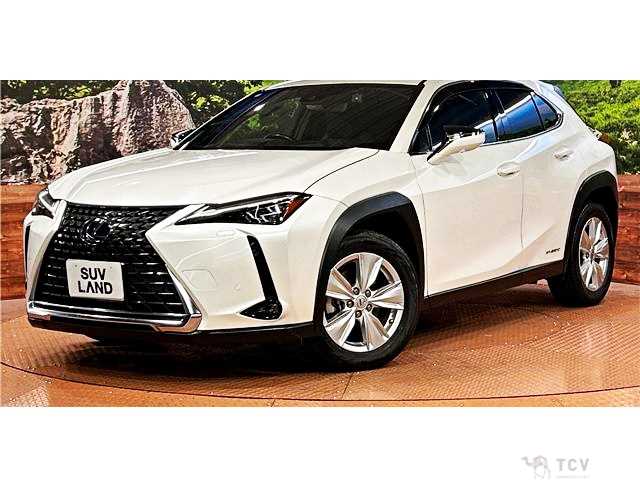 2021 Lexus Other