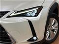 2021 Lexus Other