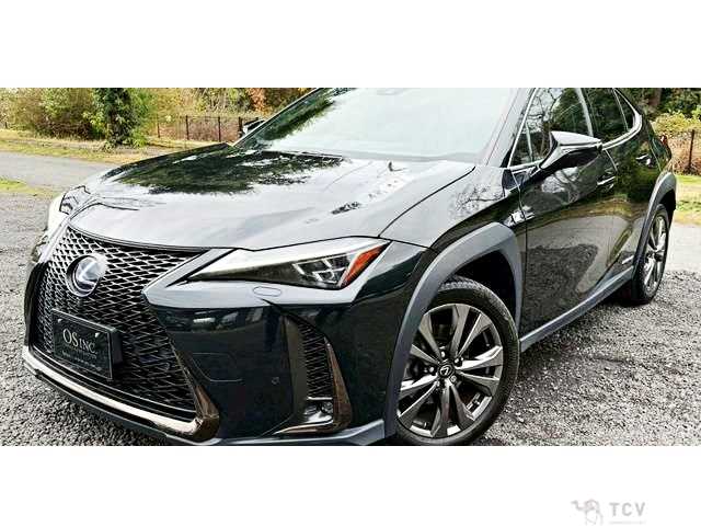 2021 Lexus Other