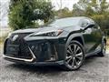2021 Lexus Other