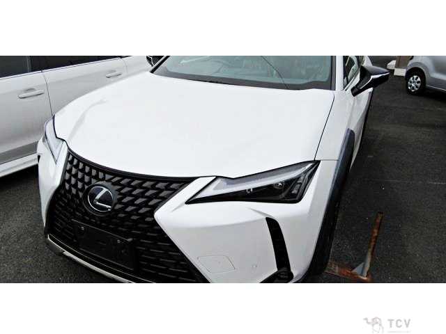 2021 Lexus Other