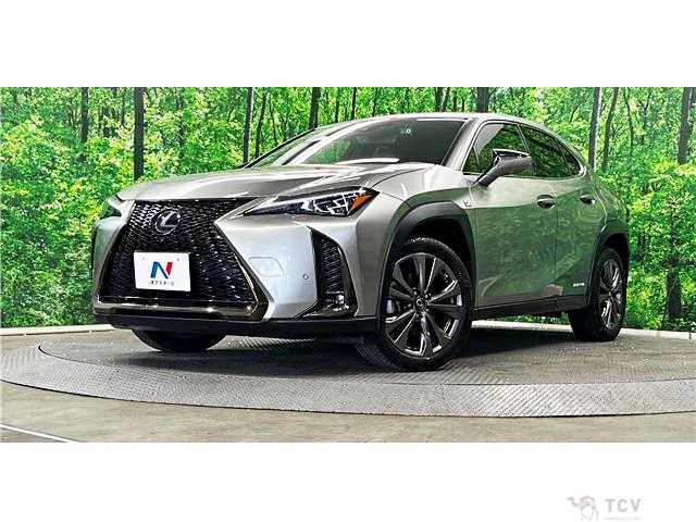 2021 Lexus Other