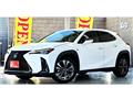 2021 Lexus Other