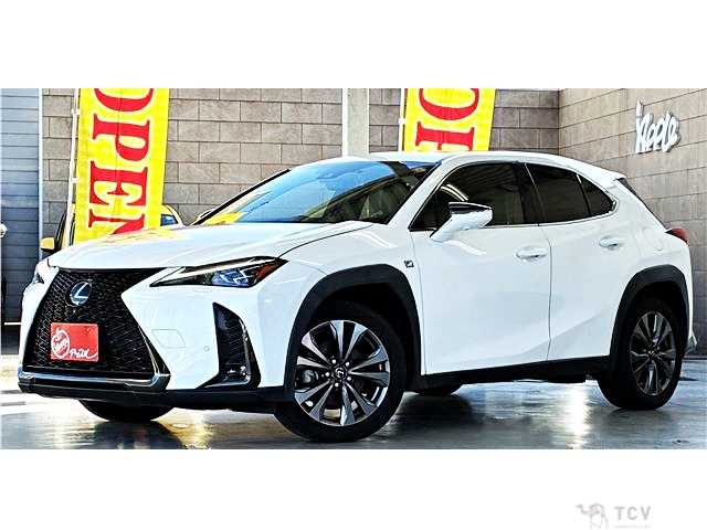 2021 Lexus Other