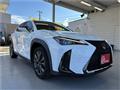 2021 Lexus Other