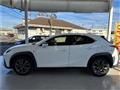 2021 Lexus Other