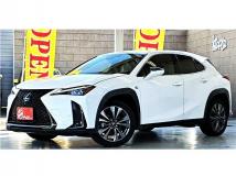 2021 Lexus Other